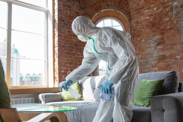 Best Mold Remediation for Healthcare Facilities  in Stevensville, MI