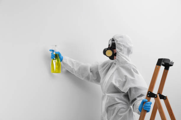 Best Commercial Mold Inspection  in Stevensville, MI